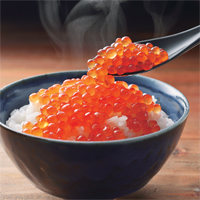 丸金佐藤水産 二条市場店 商品詳細 いくら醤油漬 100g 丸金佐藤水産 二条市場店 商品詳細 いくら醤油漬 100g